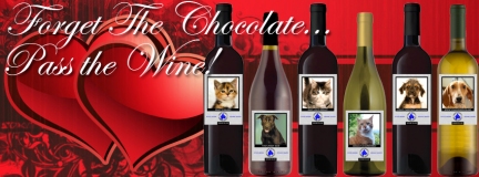 animals/avery Valentine facebook coverweb.jpg animals/avery Valentine facebook coverweb.jpg
